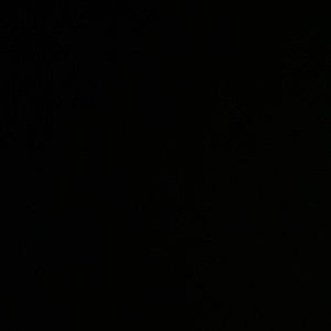 Meet your Posher, Carson